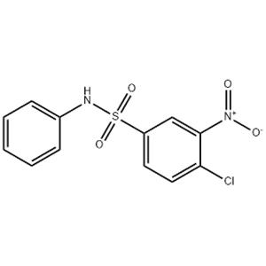 3-NITRO-4-CHLORO BENZENE SULFONANILIDE