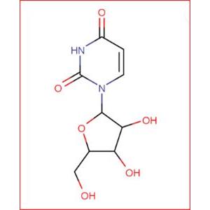 1-(α-D-ribofuranosyl)uracil