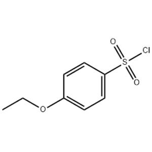 4-ETHOXY-BENZENESULFONYL CHLORIDE