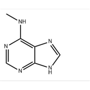 6-(METHYLAMINO)PURINE 