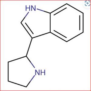 3-PIPERIDIN-2-YL-1H-INDOLE