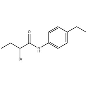 2-bromo-N-(4-ethylphenyl)butanamide