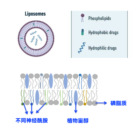 Composite Ceramide Lipid Vehicle 3.0 Pro