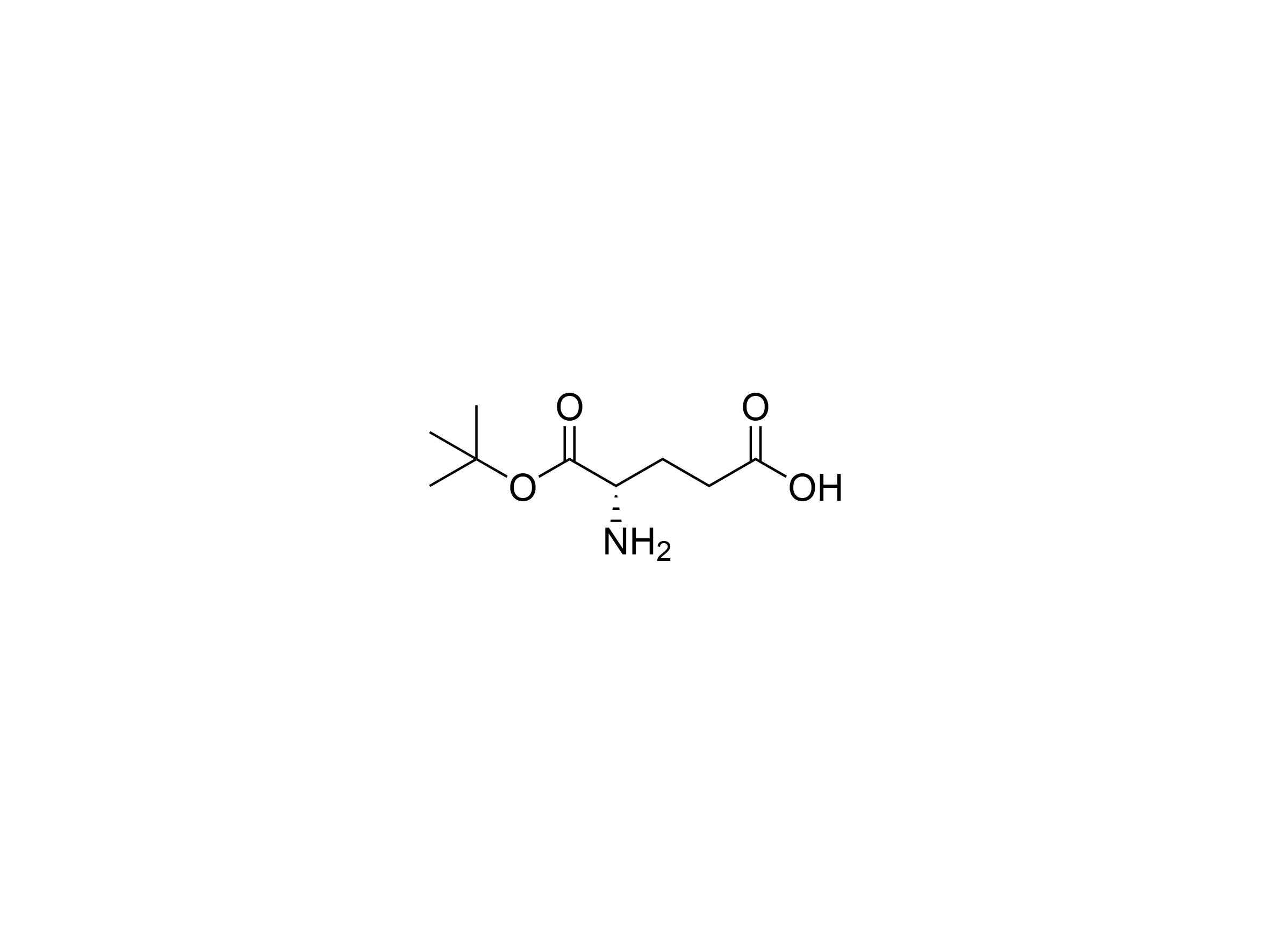 L-Glutamic acid α-tert·butyl ester