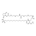 SO3H-Pla-Glu(AEEA-AEEA-OSu)-OtBu