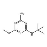 TERBUMETON-DESETHYL