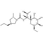 18323-44-9 Clindamycin