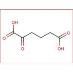 2-OXOADIPIC ACID