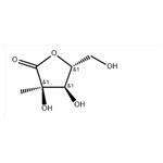 2-C-Methyl-D-ribono-1,4-lactone