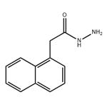 1-NAPHTHALENEACETHYDRAZIDE