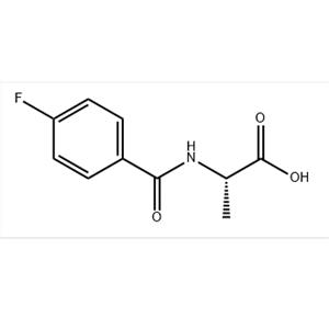 2-(4-FLUOROBENZOYL)AMINOPROPIONIC ACID 