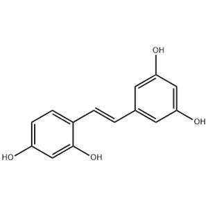 Oxyresveratrol