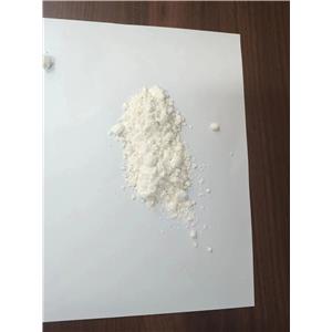 Procaine HCl / Procaine