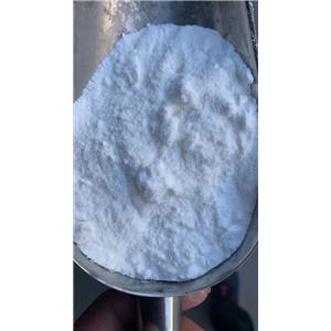  Procaine HCl /  Procaine 