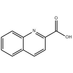 Quinaldic acid