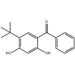 2,4-Dihydroxy-5-tert-butylbenzophenone