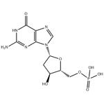 2'-DEOXYGUANOSINE 5'-MONOPHOSPHATE