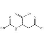 CARBAMOYL-DL-ASPARTIC ACID