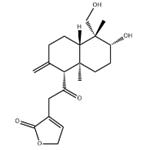 14-Deoxy-11-oxoandrographolide