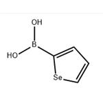 Selenophene-2-boronic acid