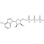 3'-NH2-ATP 100mM Sodium Solution