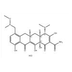 Sarecycline Hydrochloride