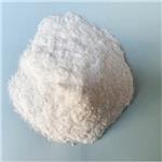 N-(TERT-BUTYL)HYDROXYLAMINE HYDROCHLORIDE