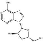 Cordycepin