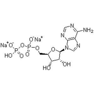 Adenosine 5'-diphosphate disodium salt; ADP-Na2, 5'-ADP-Na2