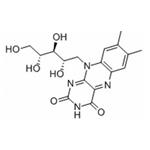 Vitamin B2 Riboflavin