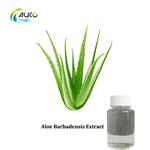 Aloe Barbadensis Extract