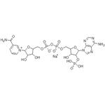 1184-16-3 beta-Nicotinamide adenine dinucleotide phosphate sodium salt,Beta-NADP-Na