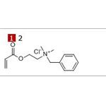 Acryloyloxyethyl ethyl dimethyl benzyl ammonium chloride 