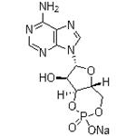 Adenosine 3',5'-cyclic monophosphate sodium salt；Cyclic AMP Na; 3:5-CAMP Na; 3',5'-CYCLIC AMP Na