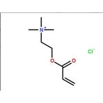 Acryloyloxyethyltrimethyl ammonium chloride 