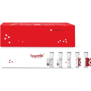 IL-23R Protein, Mouse, Recombinant (His)