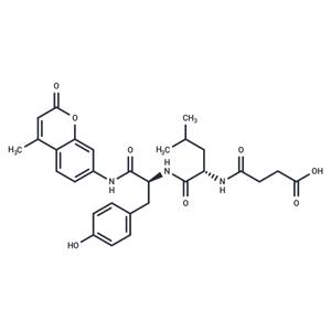 Suc-Leu-Tyr-AMC