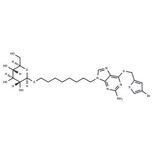 O6BTG-octylglucoside