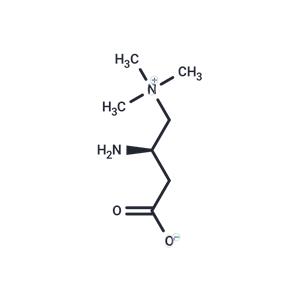 Aminocarnitine