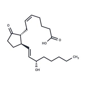 11-deoxy Prostaglandin E2