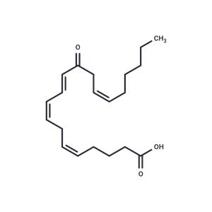 12-OxoETE