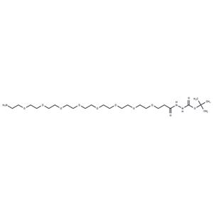 Amino-PEG8-hydrazide-Boc