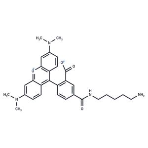 5-TAMRA Cadaverine