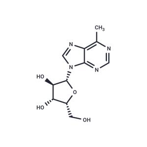 6-Methyl-9-(beta-D-xylofuranosyl)purine