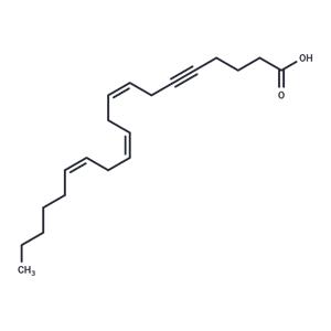 5,6-dehydro Arachidonic Acid