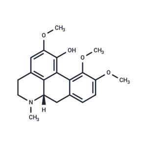 Corydine