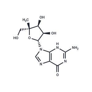 4’-Methylguanosine