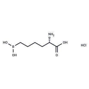 ABH Hydrochloride