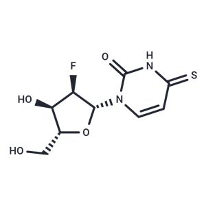 2’-Deoxy-2’-fluoro-4-thiouridine