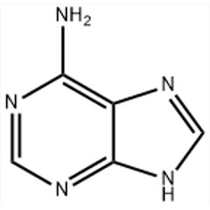 Adenine